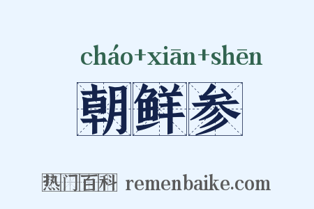 朝鲜参是什么意思的图片